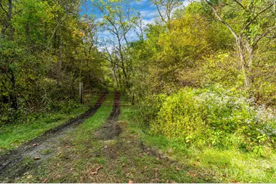 3319 Bull Creek Road, Marshall, NC 28754 - Photo 45