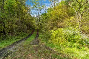 3319 Bull Creek Rd, Marshall, NC 28754 - Photo 45