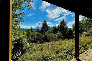 807 Pine Tree Rd, Spruce Pine, NC 28777 - Photo 47