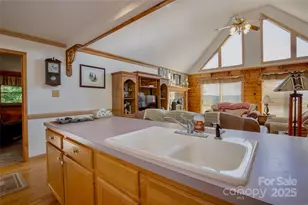 807 Pine Tree Rd, Spruce Pine, NC 28777 - Photo 13