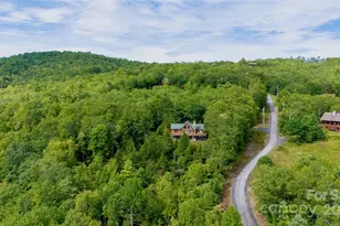 807 Pine Tree Rd, Spruce Pine, NC 28777 - Photo 39