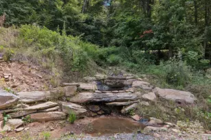 1105 Falls View Dr, Bryson City, NC 28713 - Photo 11