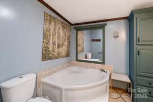 24 Libby Dr, Weaverville, NC 28787 - Photo 27