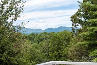 50 Springwood Drive, Asheville, NC 28805 - Photo 1