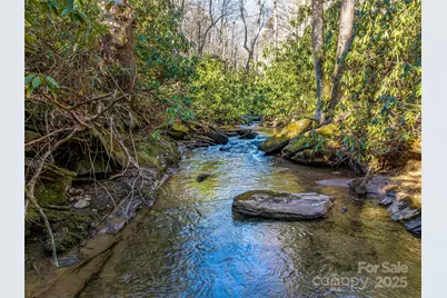 1411 Cabin Creek Road, Zirconia, NC 28790 - Photo 47