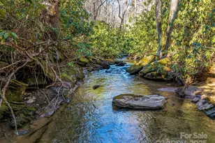1411 Cabin Creek Rd, Zirconia, NC 28790 - Photo 47