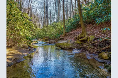 1411 Cabin Creek Road, Zirconia, NC 28790 - Photo 11