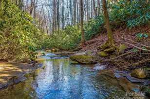 1411 Cabin Creek Rd, Zirconia, NC 28790 - Photo 11