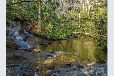 1411 Cabin Creek Road, Zirconia, NC 28790 - Photo 43