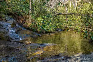 1411 Cabin Creek Rd, Zirconia, NC 28790 - Photo 43