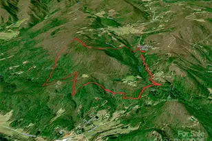 1411 Cabin Creek Rd, Zirconia, NC 28790 - Photo 7