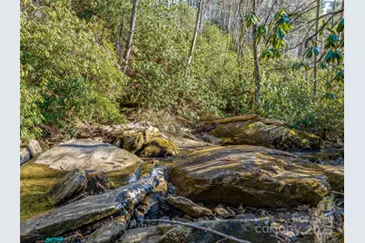 1411 Cabin Creek Road, Zirconia, NC 28790 - Photo 45