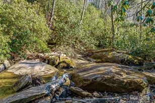 1411 Cabin Creek Rd, Zirconia, NC 28790 - Photo 45