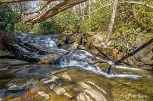 1411 Cabin Creek Rd, Zirconia, NC 28790 - Photo 9