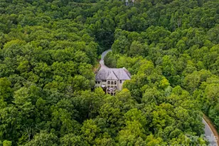 413 Barrington Dr, Asheville, NC 28803 - Photo 47