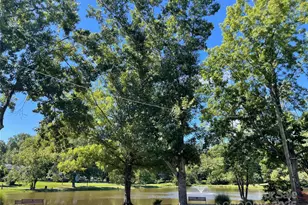 168 Harper Lee St, Davidson, NC 28036 - Photo 39