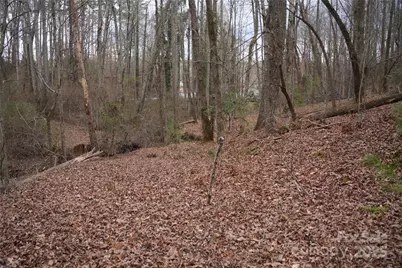 741 Glenn Bridge Road, Arden, NC 28704 - Photo 3