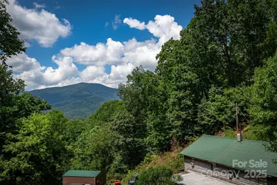 1145 Woolyshot Branch Road, Hot Springs, NC 28743 - Photo 35