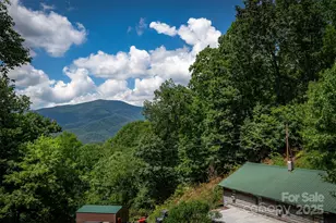 1145 Woolyshot Branch Rd, Hot Springs, NC 28743 - Photo 35