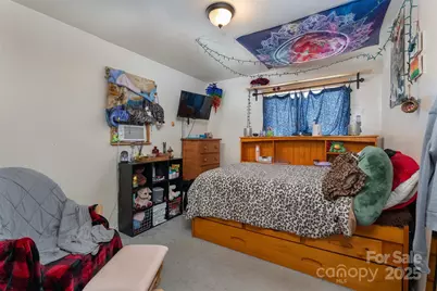 1145 Woolyshot Branch Road, Hot Springs, NC 28743 - Photo 25