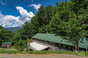 1145 Woolyshot Branch Rd, Hot Springs, NC 28743 - Photo 5