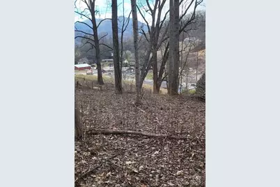 3009 Dellwood Road, Waynesville, NC 28786 - Photo 33