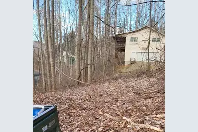 3009 Dellwood Road, Waynesville, NC 28786 - Photo 31