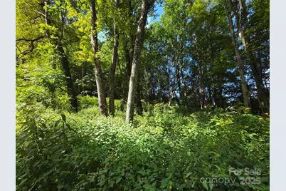 3009 Dellwood Road, Waynesville, NC 28786 - Photo 37