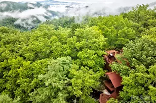 565 Silver Ridge Rd, Bryson City, NC 28713 - Photo 9