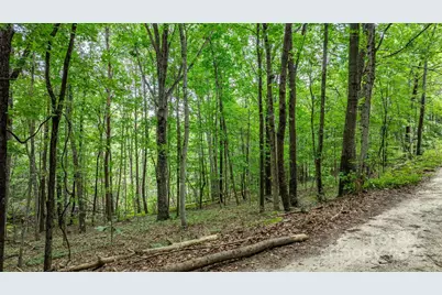 206 Rocky Top Road, Taylorsville, NC 28681 - Photo 17