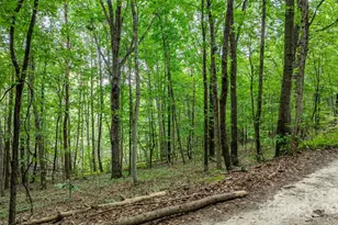 206 Rocky Top Rd, Taylorsville, NC 28681 - Photo 17