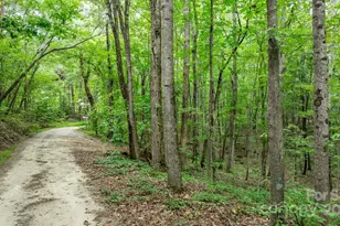 206 Rocky Top Rd, Taylorsville, NC 28681 - Photo 7