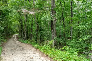 206 Rocky Top Rd, Taylorsville, NC 28681 - Photo 9