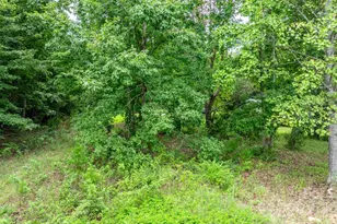 206 Rocky Top Rd, Taylorsville, NC 28681 - Photo 15