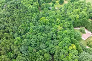 206 Rocky Top Rd, Taylorsville, NC 28681 - Photo 11