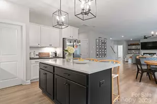 11228 Wooded Saddle Rd, Charlotte, NC 28216 - Photo 17