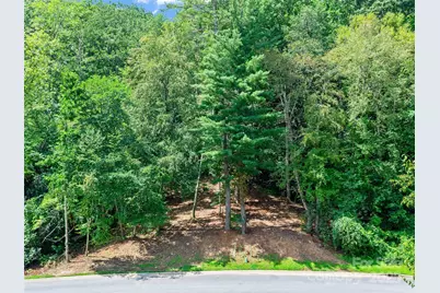 99999 Mistletoe Trail #43 & 44, Hendersonville, NC 28791 - Photo 13
