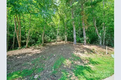 99999 Mistletoe Trail #43 & 44, Hendersonville, NC 28791 - Photo 7
