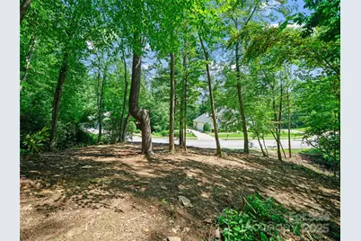 99999 Mistletoe Trail #43 & 44, Hendersonville, NC 28791 - Photo 9
