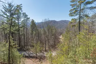 410 Dream Valley Dr, Clyde, NC 28721 - Photo 29
