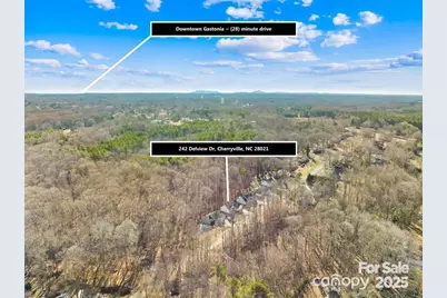 242 Delview Drive, Cherryville, NC 28021 - Photo 33