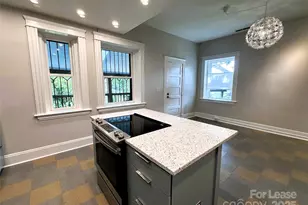 132A Biltmore Ave, Asheville, NC 28801 - Photo 7