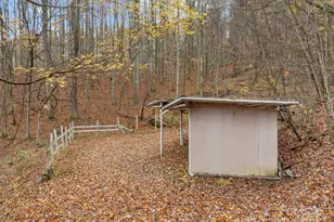 61 Doe Loop, Hot Springs, NC 28743 - Photo 31