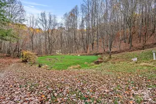 61 Doe Loop, Hot Springs, NC 28743 - Photo 29