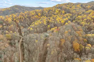 61 Doe Loop, Hot Springs, NC 28743 - Photo 37