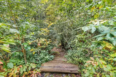 28 Caddis Court, Marshall, NC 28753 - Photo 23