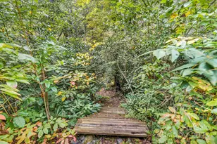 28 Caddis Ct, Marshall, NC 28753 - Photo 23