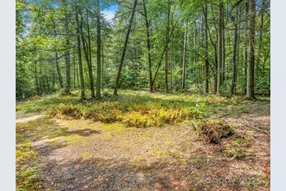 28 Caddis Court, Marshall, NC 28753 - Photo 39