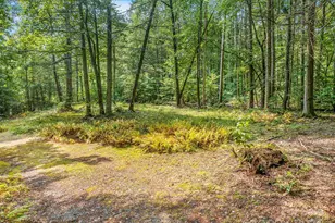 28 Caddis Ct, Marshall, NC 28753 - Photo 39