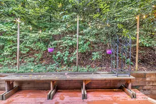 28 Caddis Ct, Marshall, NC 28753 - Photo 17